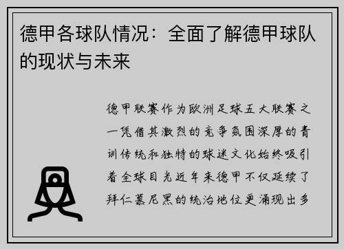 德甲各球队情况：全面了解德甲球队的现状与未来